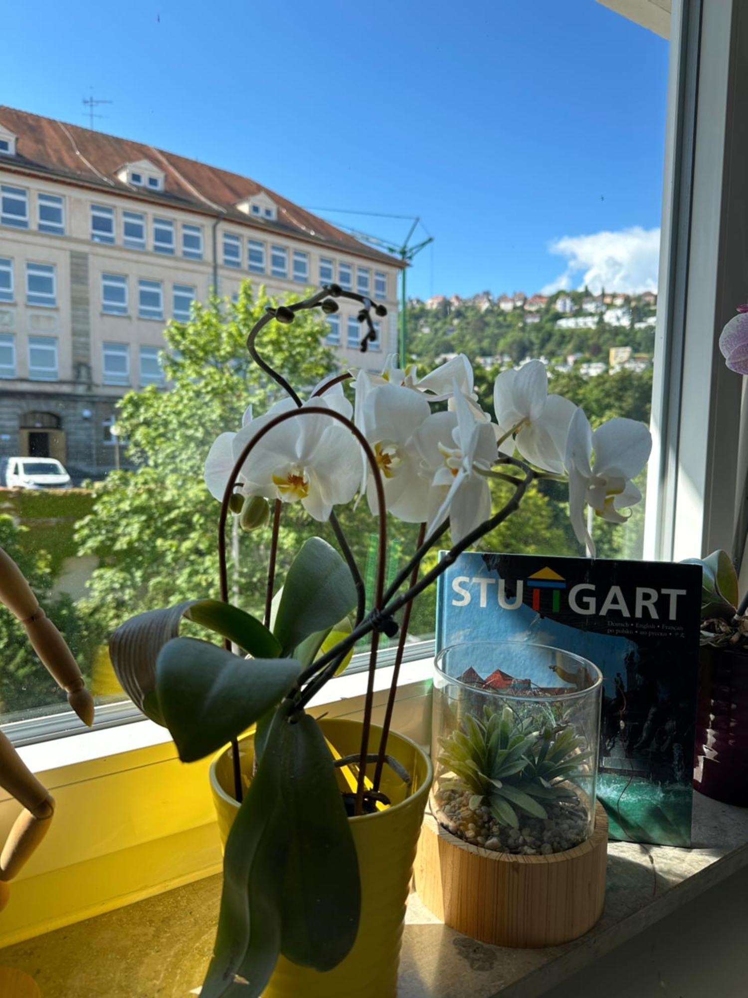 Renovated Flat - Prime Location Near Marienplatz Apartment Stuttgart Exterior photo